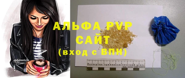 индика Верея