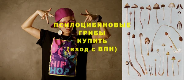 индика Верея