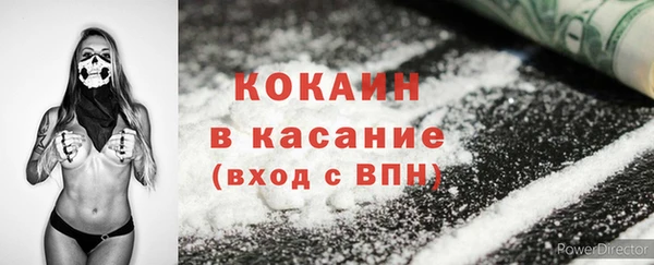 индика Верея