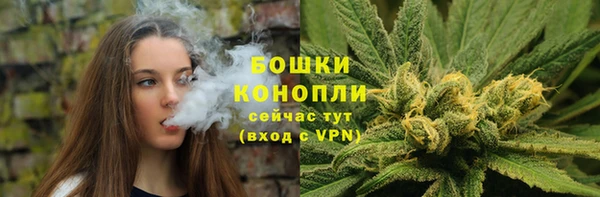 ГАЛЛЮЦИНОГЕННЫЕ ГРИБЫ Верхний Тагил