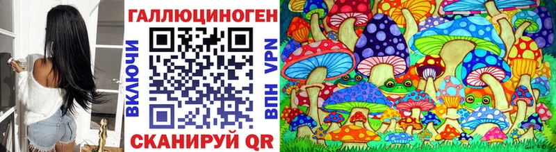 Купить  Абаза  Галлюциногенные грибы Psilocybine cubensis 